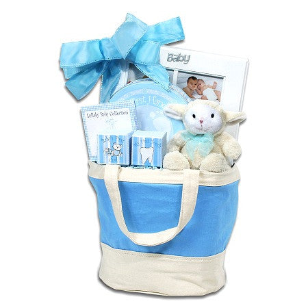 Alder Creek Gifts Baby Keepsake Tote Blue